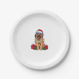 Prato De Papel Xmas Lighting Santa Hat Anatolian Shepherd Chr