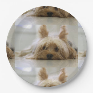 Prato De Papel Yorkshire terrier flat.png