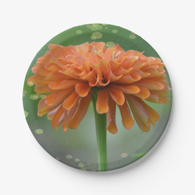 Prato De Papel Zazzled Zinnia Paper Plate (Frente)