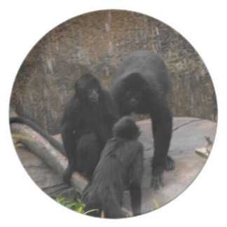 Prato Mercadorias do comensal do Aranha-Macaco