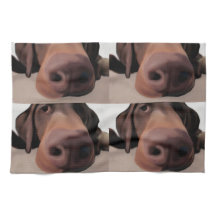 Nariz de cão de pano da cozinha