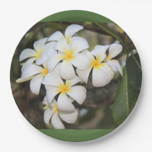 pratos com flores tropicais, plumeria