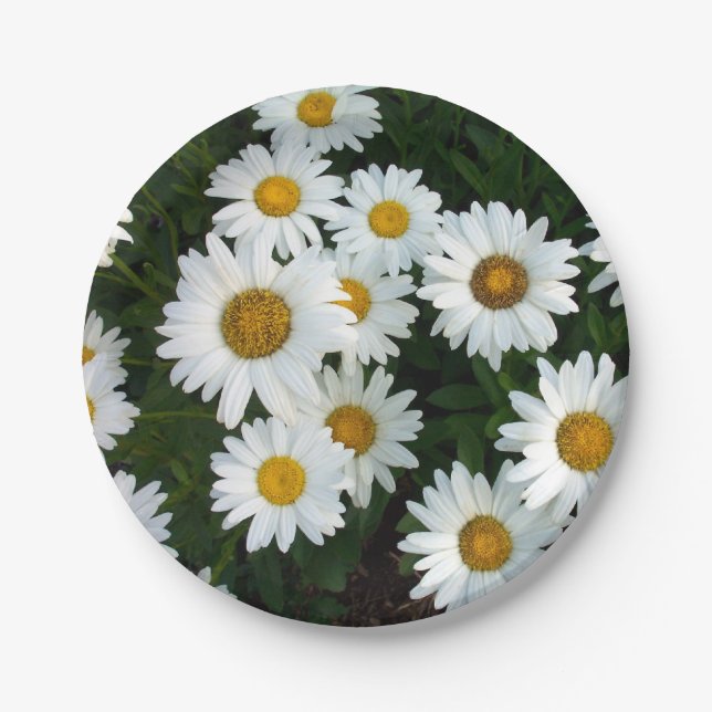 Pratos de Papel Daisy Delight (Frente)
