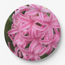 Pratos de Papel Florais Jacintos Rosa Bonito