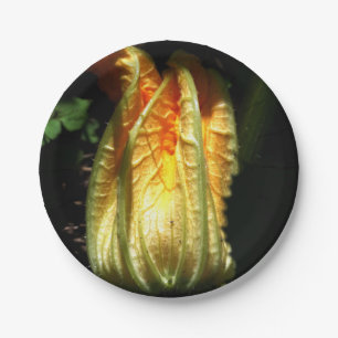 Pratos de Papel Personalizados, Flor de Abóbora Rú