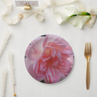 Pratos de papel rosa para a sua festa ou evento