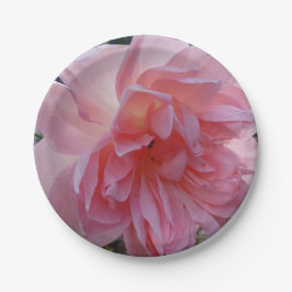 Pratos de papel rosa para a sua festa ou evento