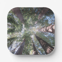 Pratos e Tigelas de Papel California Redwoods Olhe