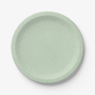 Pratos Simples e Lisos para Festa de Aniversário d