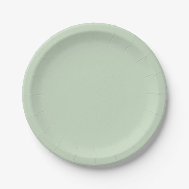 Pratos Simples e Lisos para Festa de Aniversário d (Frente)