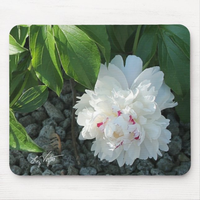 Precioso Peony Mousepad (Frente)