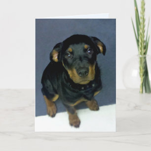 Precioso Rottweiler Cartão de Saudação do Vazio Pu