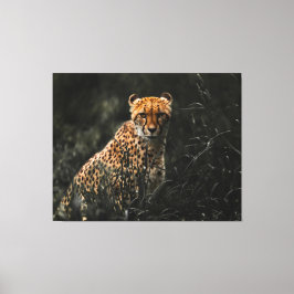 Predator Ou Prey Staredown Canvas Art