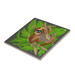 Preguiça Boba Relaxando Em Um Azulejo Cerâmico De