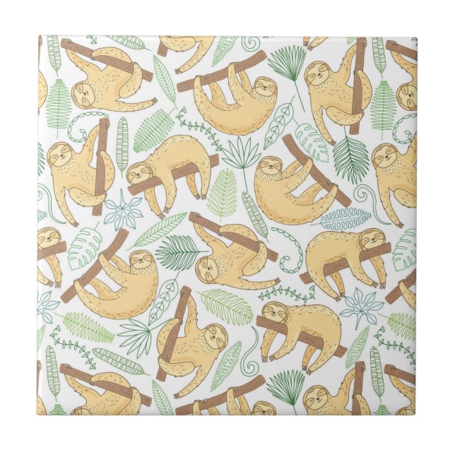 Preguiças de suspensão (Frente)