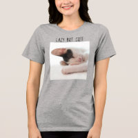 Preguiçoso Mas Bonito Foto De Gatinho Gato Prega H