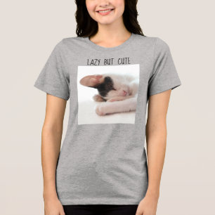 Preguiçoso Mas Bonito Foto De Gatinho Gato Prega H