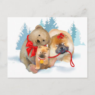 PRESEN-TANDO GIFTS Cartão postal Chow & Teddybear