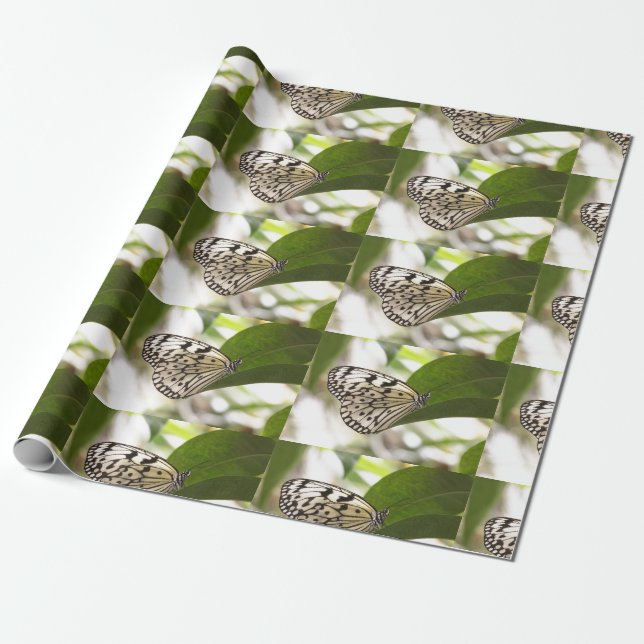 Presente Borboleta de pipa de papel (Desenrolado)