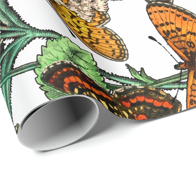 PRESENTE BORBOLETAS EM PAPEL DE EMBALAGEM DA NATUREZA (Ponta do rolo)