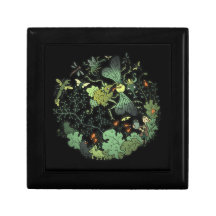 Caixa de madeira da lembrança da jóia da rainha da