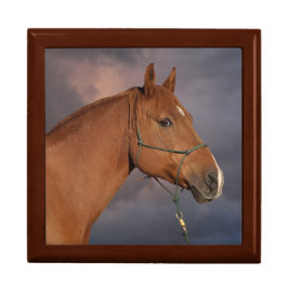 Presente Caixa de Mão de Madeira de Cavalo de Castanha Ocid