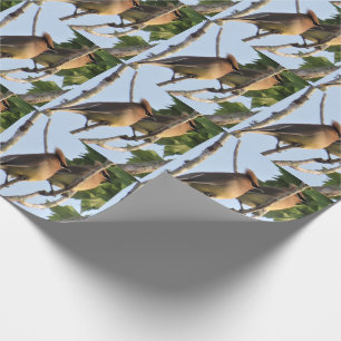Presente Cedar Waxwing - Roll De Papel De Embalagem De Pás