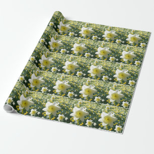 Presente Daffodils Spring Flowers Papel de Acondicionamento