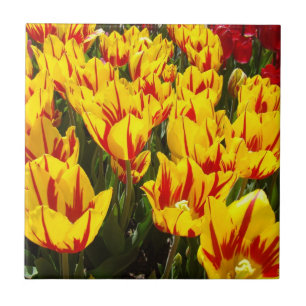Presente de arte em azulejos Tulipas Flores Floral