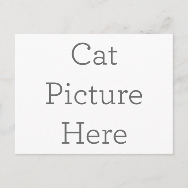 Presente de cartão postal com imagem de gato perso (Frente)