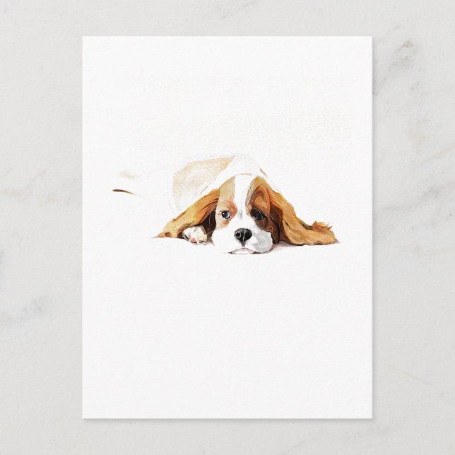 Presente de Cartão Postal do Cavalier King Charles (Frente)