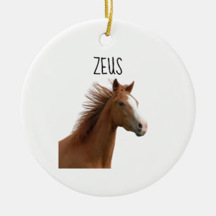 Presente de Cavalo - Enfeite de Cavalo Personaliza
