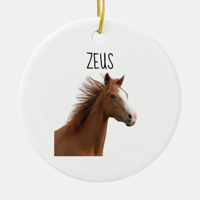 Presente de Cavalo - Enfeite de Cavalo Personaliza (Frente)