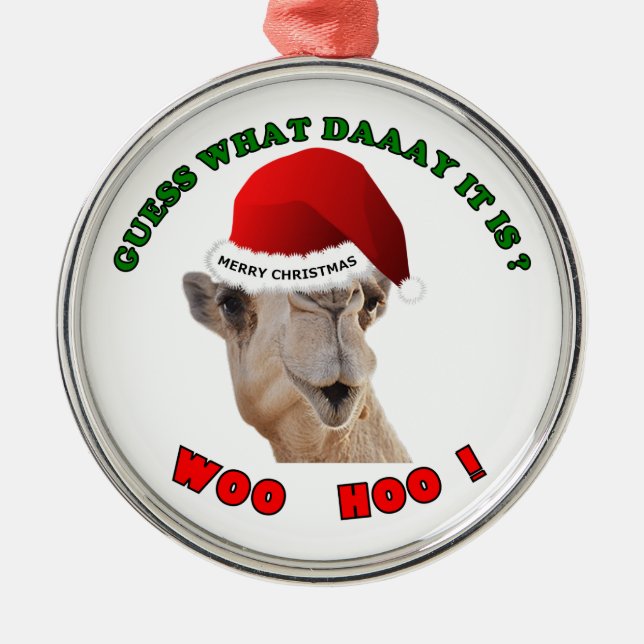 Presente de Enfeites de natal do Camel Hump Day (Frente)