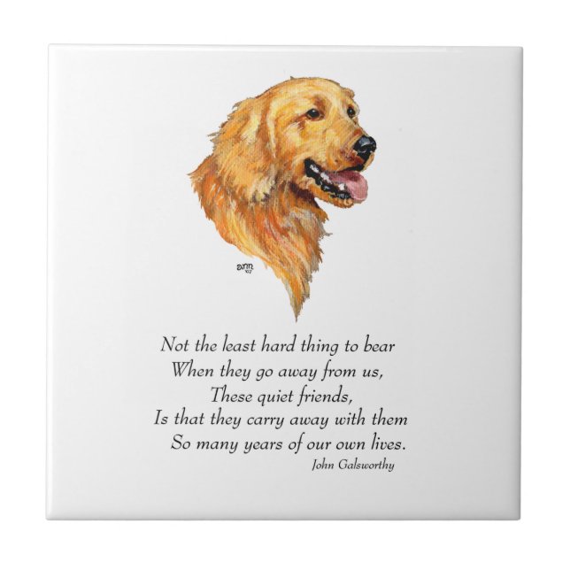 Presente de Golden Retriever (Frente)