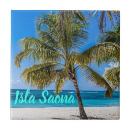 Presente de Isla Saona Beach Domenican Republic