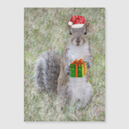 Presente de Natal do Esquilo