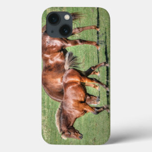 Presente do amante dos cavalos