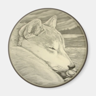 Presente do ímã do cão de Shiba Inu da imã de