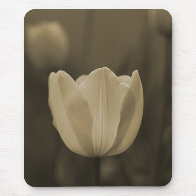 Presente do mousepad da flor da tulipa do solteiro (Frente)