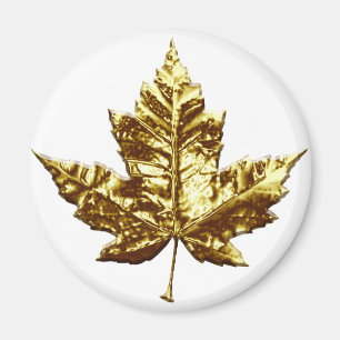 Presente Dourado da folha de bordo da imã de