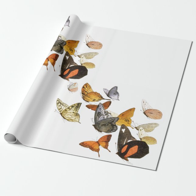PRESENTE EMBALAGEM DE PAPEL BRANCO COM BORDAS (Desenrolado)