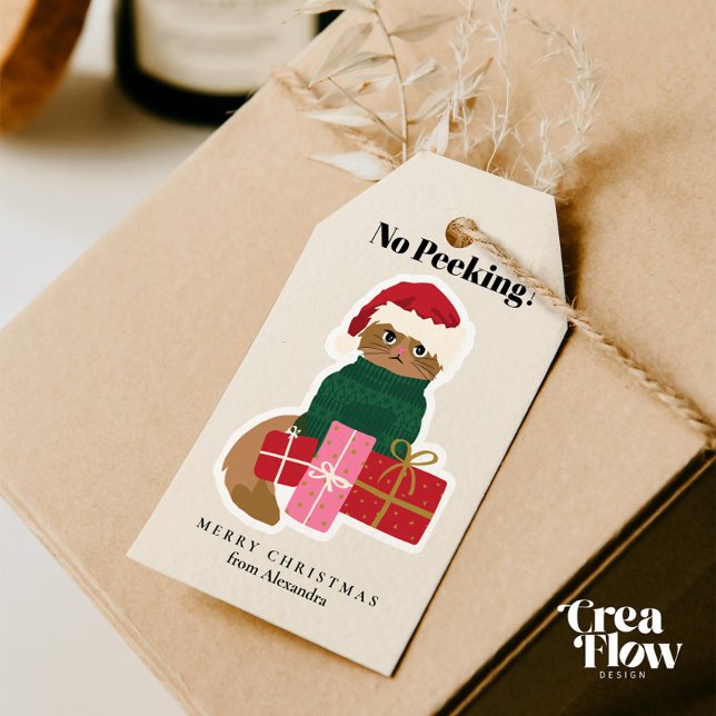 Presente Etiqueta de presentes personalizada para gatos de  (Adorable Personalized Holiday Gift Tags featuring a Grumpy Cat in a Green Christmas Sweater )