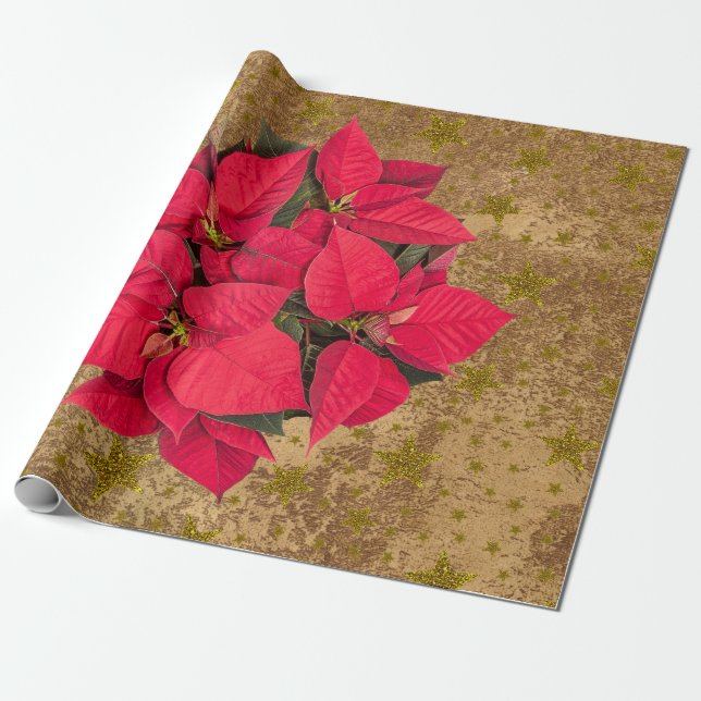 Presente Flor de Natal vermelha, estrelas douradas em papel (Desenrolado)