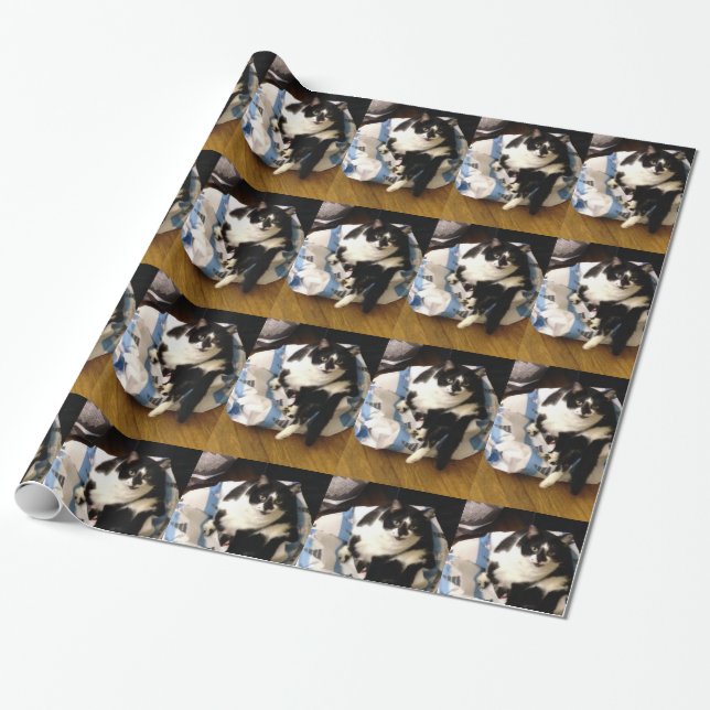 Presente Foto de Tuxedo Cat no papel de moldagem de Natal (Desenrolado)