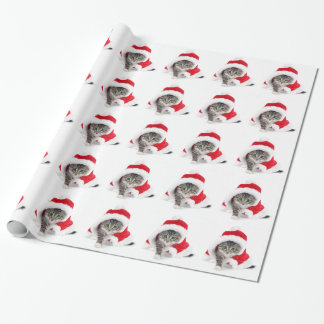 Presente Gatinho do Natal no papel de envolvimento do