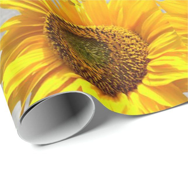 Presente Gatinho Glossy De Papel De Moldagem (Ponta do rolo)