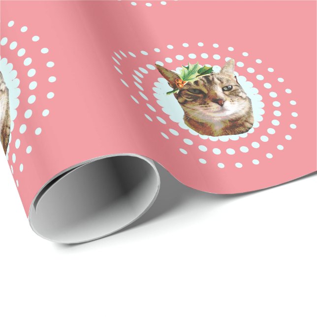 Presente Gato de gato malhado com papel de envolvimento do (Ponta do rolo)