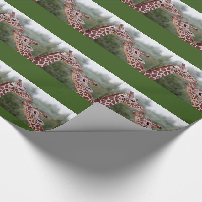 Presente Girafas no papel de envolvimento do amor (Ponta)