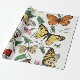Presente Ilustração de Vintagem de Borboleta de Papel